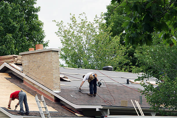 Best Roof Maintenance Services  in Willard, OH